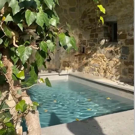 Tenuta Di San Giusto In Salcio Alloggio in famiglia Gaiole in Chianti