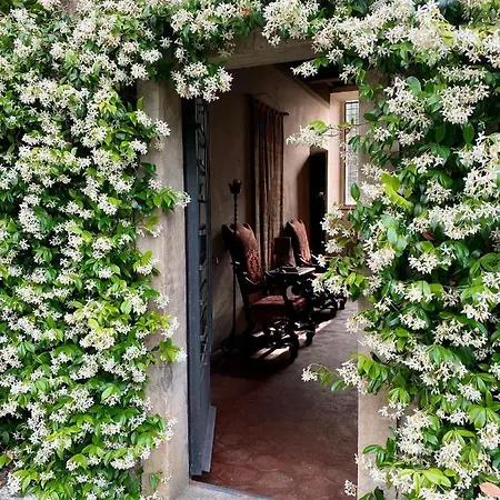 Quarto em Acomodações Particulares Tenuta Di San Giusto In Salcio Gaiole in Chianti
